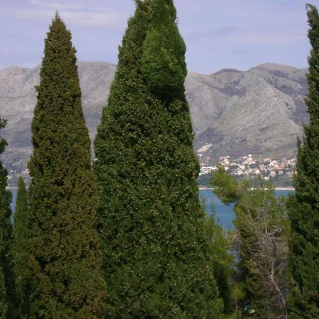 Villa Anka Cavtat Bagian luar foto